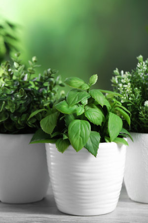 Different artificial potted herbs on white tableの写真素材