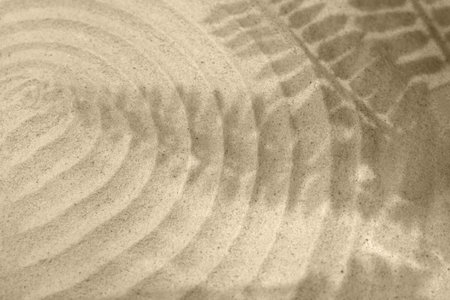 Beautiful lines and shadows of leaves on sand. Zen gardenの写真素材