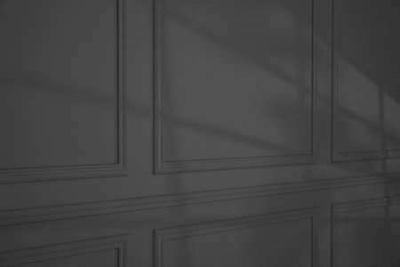 Shadow from window and houseplant on dark gray wall indoorsの写真素材