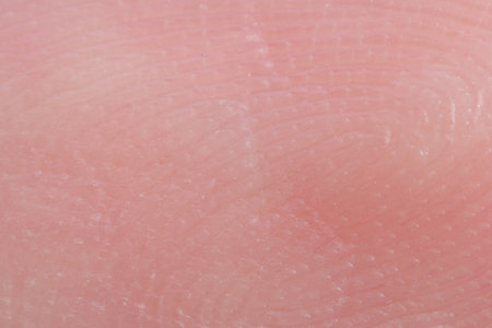 Friction ridges on fingers as background, macro viewの写真素材