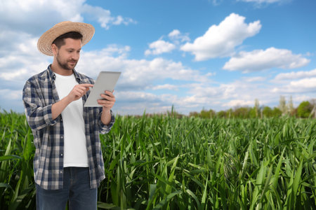 Farmer with tablet computer in field. Harvesting seasonの写真素材