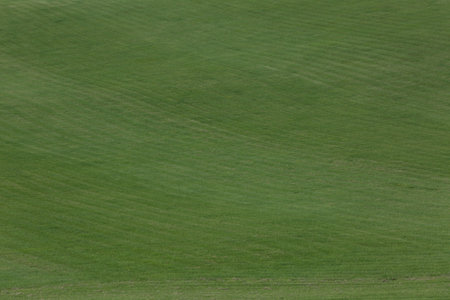 Beautiful lawn with bright green grass outdoorsの写真素材