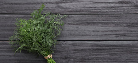Fresh dill on gray wooden table, top view. Banner design with space for text