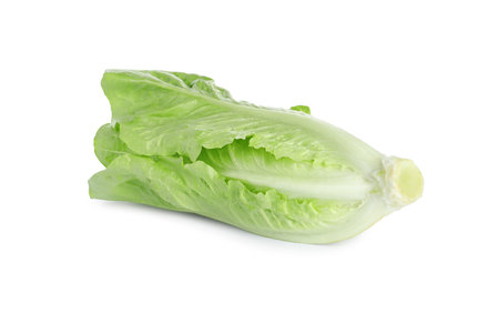 Fresh green romaine lettuce isolated on whiteの写真素材