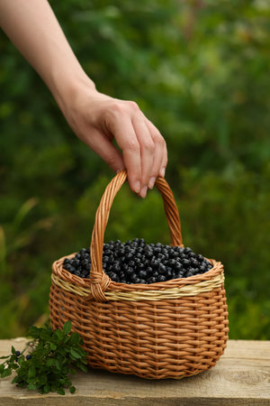 Woman taking wicker basket with bilberries at wooden table outdoors, closeupの写真素材