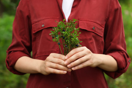 Woman holding branch with ripe bilberries outdoors, closeupの写真素材