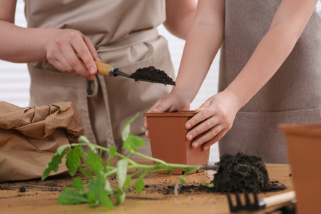 Mother and daughter planting seedling in pot together at wooden table, closeupの写真素材