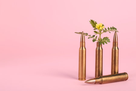 Bullets and beautiful flower on pink background, space for textの写真素材