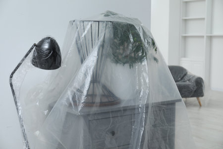 Modern furniture, houseplant covered with plastic film and boxes at homeの写真素材