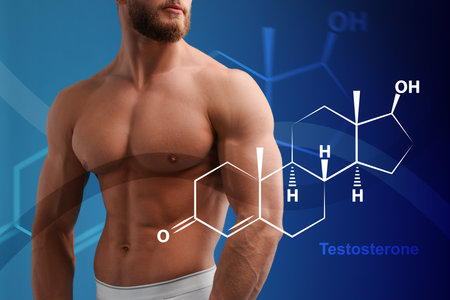 Muscular man and structural formula of testosterone on blue background, closeupの写真素材