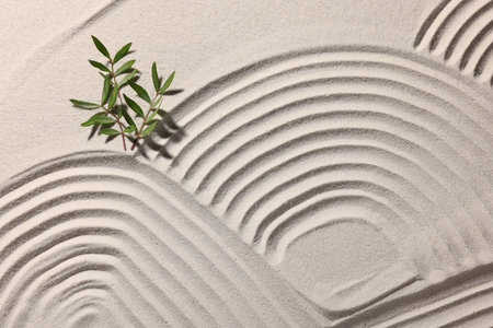 Beautiful patterns and branches on sand, top view. Zen gardenの写真素材