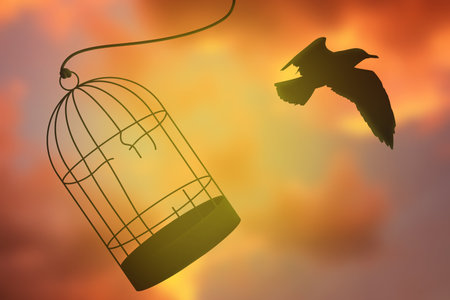 Freedom. Bird flying out of broken cage into cloudy skyの写真素材