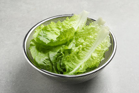 Colander with fresh leaves of green romaine lettuce on light gray tableの写真素材