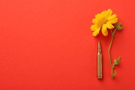Bullet and beautiful flower on red background, flat lay. Space for textの写真素材