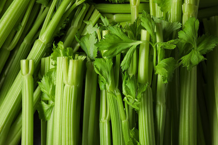 Many fresh green celery bunches as background, top viewの写真素材