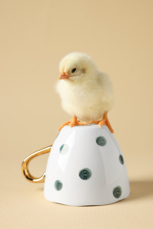Cute chick on cup against beige background, closeup. Baby animalの写真素材