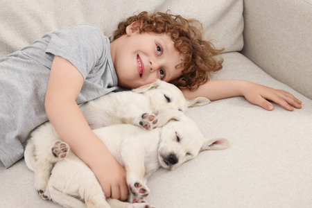 Little boy hugging cute puppies on couchの写真素材
