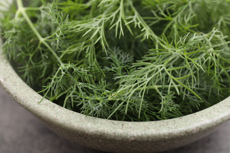 Bowl of fresh dill on gray table, closeupの写真素材