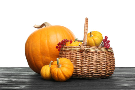 Happy Thanksgiving day. Composition with pumpkins and berries on black wooden table against white backgroundの写真素材