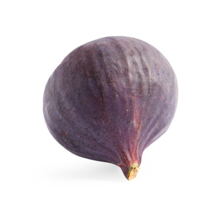 Whole ripe fresh fig isolated on whiteの写真素材