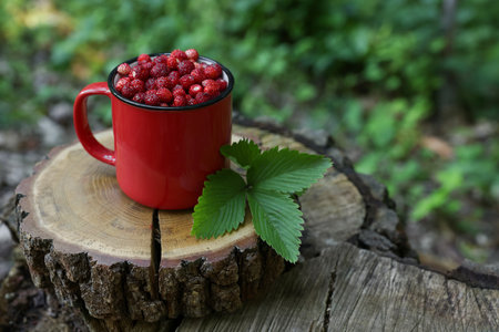 Mug of tasty wild strawberries and leaves on stump against blurred background. Space for textの写真素材