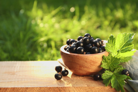 Ripe blackcurrants in bowl and leaves on wooden surface outdoors. Space for textの写真素材