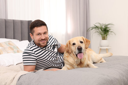 Man with adorable Labrador Retriever dog on bed at home. Lovely petの写真素材