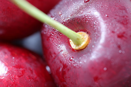 Fresh ripe cherries with water drops as background, macro viewの写真素材