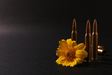 Bullets and beautiful flower on black background. Space for text