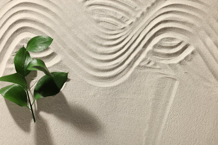 Beautiful lines and plant on sand, top view with space for text. Zen garden