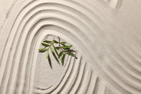 Beautiful lines and branches on sand, top view. Zen gardenの写真素材
