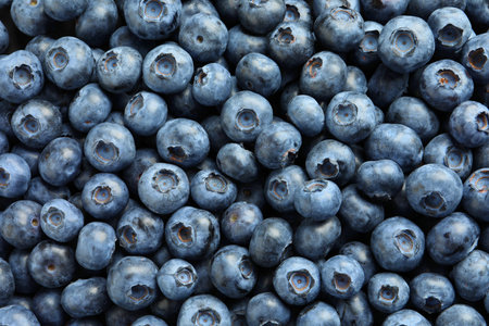 Tasty fresh blueberries as background, top viewの写真素材