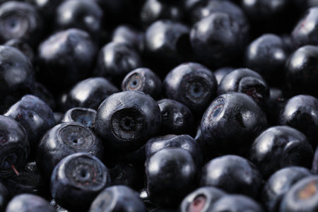 Many delicious ripe bilberries as background, closeupの写真素材