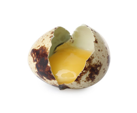 One cracked quail egg isolated on whiteの写真素材