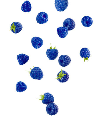 Many fresh blue raspberries falling on white background