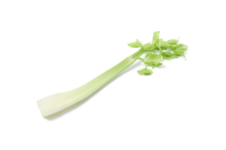 Fresh green celery stem isolated on whiteの写真素材