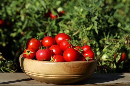 Bowl of ripe tomatoes on wooden table outdoorsの写真素材