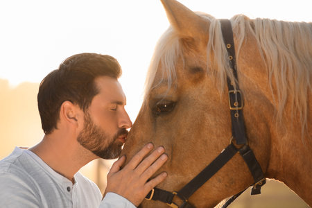 Handsome man with adorable horse outdoors on sunny day. Lovely domesticated petの写真素材