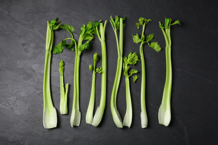 Fresh green celery on gray table, flat layの写真素材