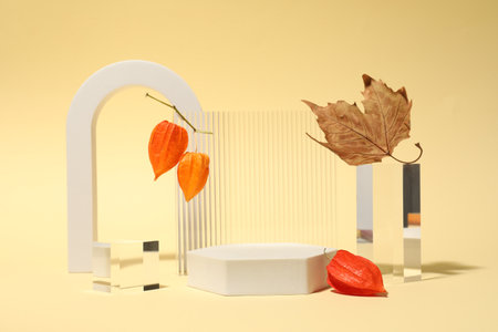 Autumn presentation for product. Geometric figures, dry leaf and physalises on light yellow backgroundの写真素材