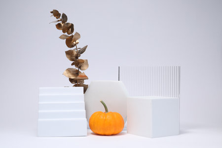 Autumn presentation for product. Geometric figures, pumpkin and golden branch with leaves on white backgroundの写真素材