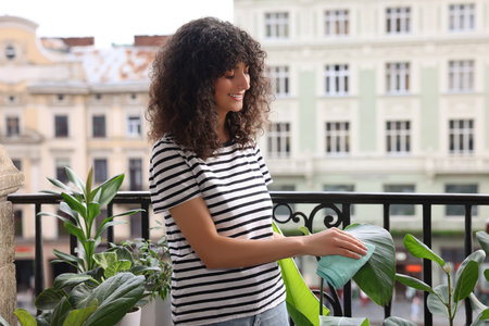 Happy young woman wiping beautiful houseplant leaf on balconyの写真素材