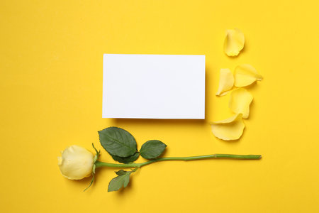 Beautiful rose, petals and blank card on yellow background, flat lay. Space for textの写真素材