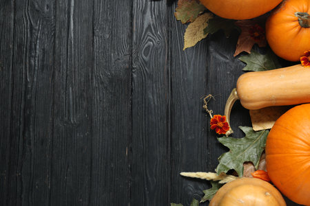 Thanksgiving day. Flat lay composition with pumpkins on black wooden table, space for textの写真素材