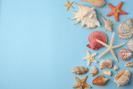 Beautiful starfishes, sea shells and stone on light blue background, flat lay. Space for textの写真素材