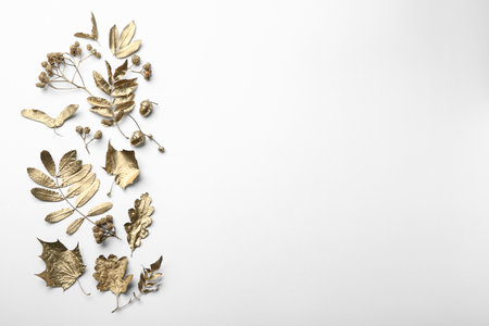Beautiful golden leaves, berries and acorns on white background, flat lay with space for text. Autumn decorの写真素材