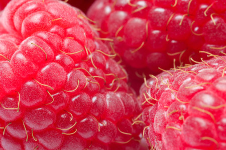 Tasty fresh ripe raspberries as background, macro view. fresh berries