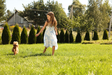 Beautiful girl walking with cute Maltipoo dog on green lawn in parkの写真素材