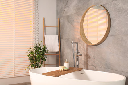 Stylish bathroom interior with ceramic tub, spa products and mirror