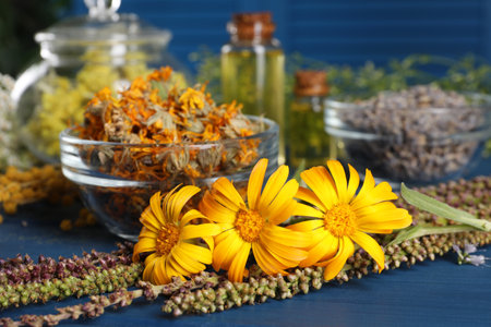 Bowl and many different herbs on blue wooden table, closeupの写真素材